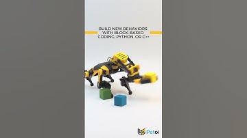 Bittle X + Arm Combo: The Ultimate Do-It-All Robot Dog!