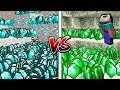 Minecraft Battle - NOOB vs PRO : DIAMOND VS EMERALD DIGGING BATTLE! (Animation)