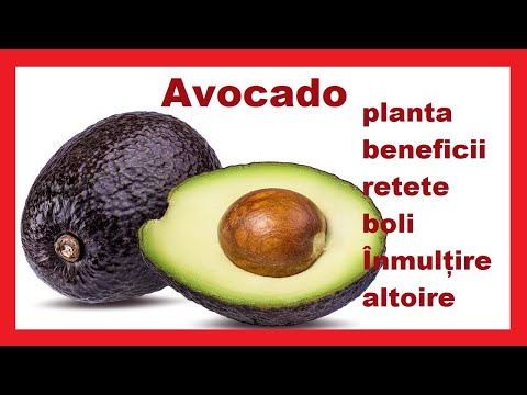 Video: Cum Se Coace Un Avocado