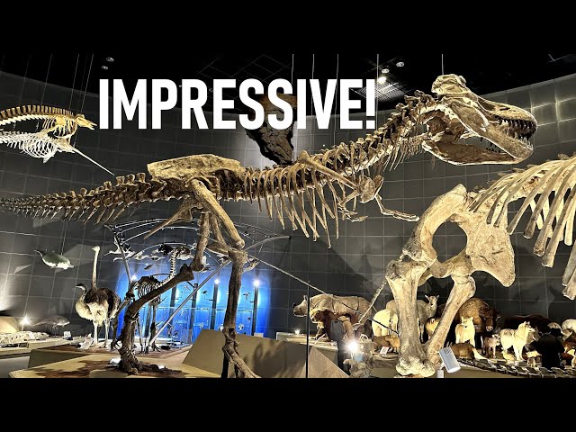 Natural History Development in Japan an… Natural History Development in Japan and Its Future