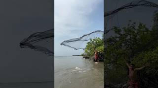 Catch the fish by catch net #fishing #reels #birdfish #fish #shorts #youtube #hatchreels 🐟🕸️