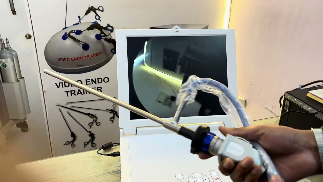 Portable unit endoscopic camera