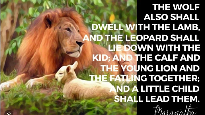 CATHOLIC MEDITATION: Tuesday - 2 December, 2025. (🟣 1st Week - Advent, Year A 🟣).