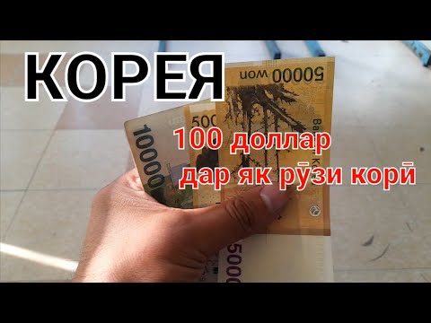 КОРЕЯ: 100 доллар рӯзи корӣ #корея #работавкорее #работавкореи #арбайт #мигранты #таджики #работа