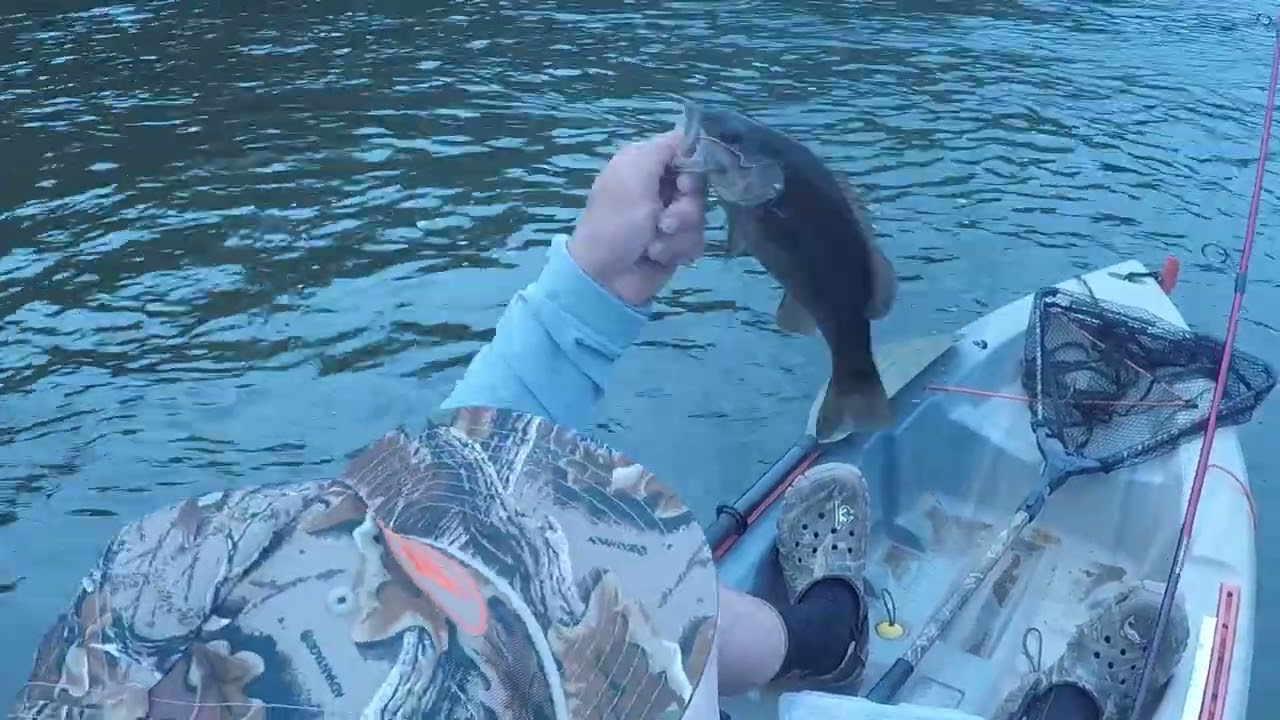 Smallmouth Bass Fishing the New River!