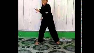 JAGOAN SILAT