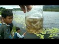 Healing Healing Sambil Mancing di Danau Mas Harun Bastari Curup Bengkulu ( fishing on the lake )