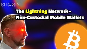 The Lightning Network: Non-Custodial Mobile Wallets (Blixt, lnurl, bolt11, & bolt12) - Spaces
