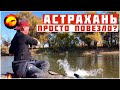 ПОВЕЗЛО ИЛИ ЗАСЛУЖИЛ? / РЫБАЛКА ДВОЕ СУТОК В АСТРАХАНИ