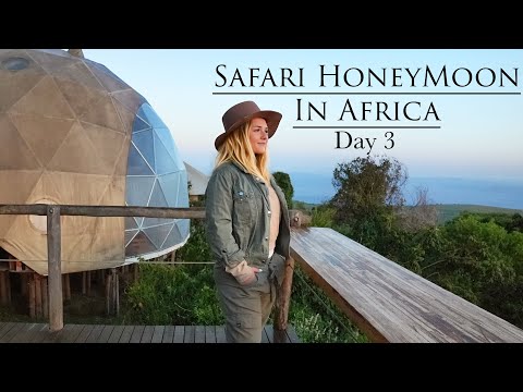 Our Safari HoneyMoon In Africa Vlog 