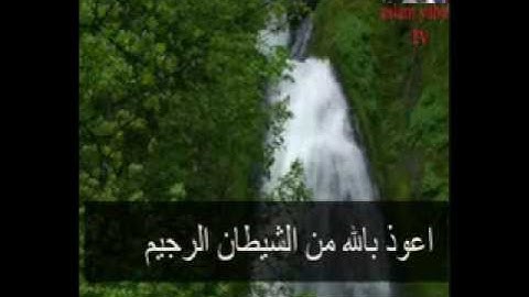 جديد....ما تيسر من سوره الرحمن....اسلام محمد يحيي