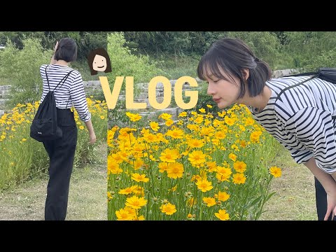 [vlog]일상 브이로그(1년반만에 단발 가을/일상모음집/자담치킨 맵슐랭🍗/오리고기 맛집/주말은 산책하고 청소하고/죽음의조 집들이/감자탕과 김밥/막걸리 삼종세트 육전/시댁 다녀옴)