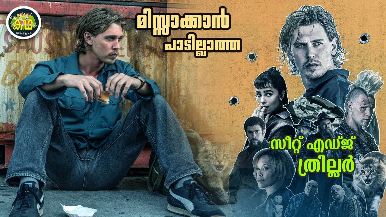 കൂട്ടുകാരനൊരു പൂച്ചയെ കയ്യിൽ തരും, അവിടെ തുടങ്ങി പൊല്ലാപ്പുകൾ... സീറ്റ് എഡ്ജ് ത്രില്ലർ...