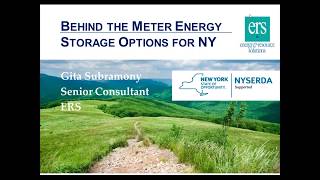 Behind the Meter Energy Storage Options for New York