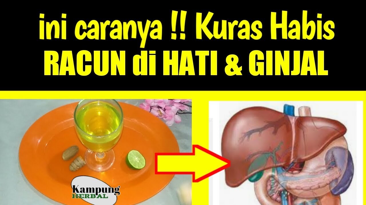 Cara Ampuh Membersihkan Liver Dan Lambung | Cara Mengobati Liver Secara