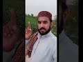 امیر دیندے حساب رہے گے غریب آقا دے نال ٹر گے