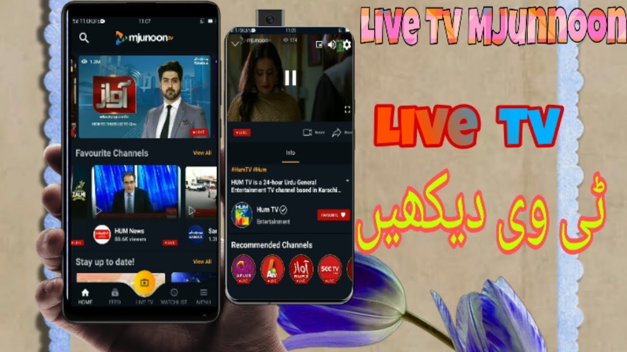 Live mjunoon tv YouTube