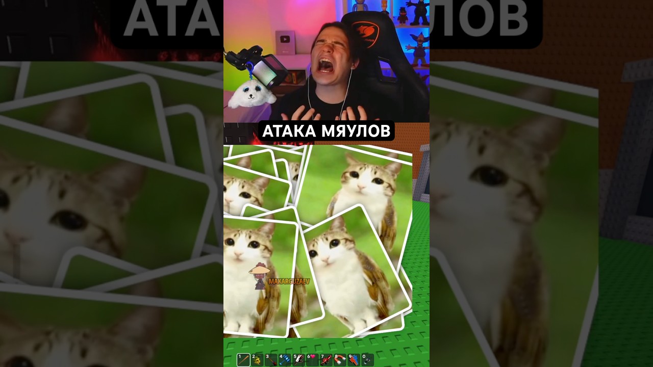 МЯУЛЫ снова взялись за старое…. 