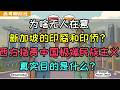 新加坡印裔和印侨问题为啥没人在意？搬出民族主义叙事为什么无法PUA中国网友？为啥同样的事情美国人做就是爱国主义，中国人做就是民族主义？