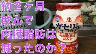 【ダイエット】雪印メグミルク「恵 ガセリ菌SP株ヨーグルト ドリンクタイプ」を約二ヶ月飲んで見たら。。。。