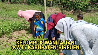 KELOMPOK WANITA TANI (KWT) KABUPATEN BIREUEN TAHUN 2022 @Fitramedia.