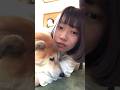 柴犬福 白光りする祖母の前で姉に絡まれ鼻シワする柴犬(4年前)🤣Sis and Grandma and Shiba🤣#姉と柴 #shorts #funny #funnydog #柴犬 #시바견