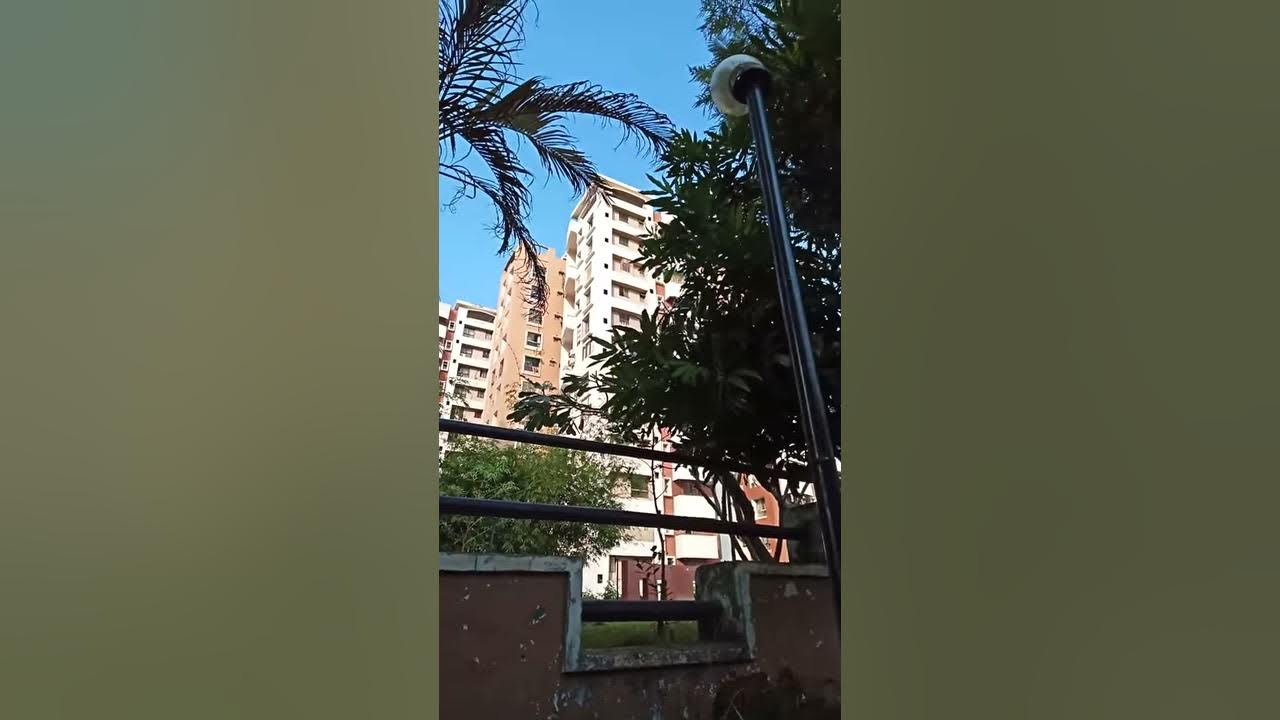 Regent paradise YouTube