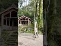 Watch this on June 30th to make your next half year the best. Invite you to Chinowa Kuguri (茅の輪くぐり）