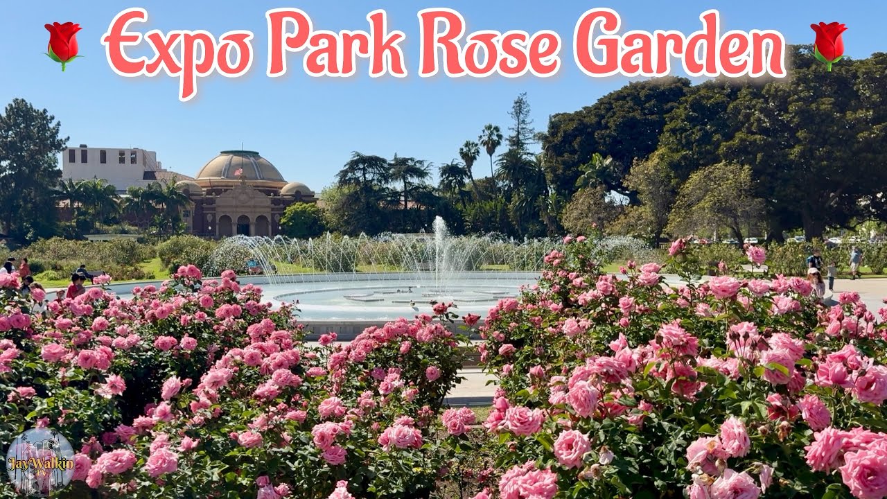 🌹Exposition Park Rose Garden, Spring 26' 🌺| Los Angeles