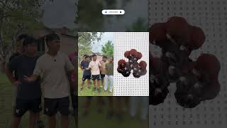 #omped #omped_visual #ompedvisual #shorts #tipetipeomped #funnyshortclip #viral #ngakak #kocak
