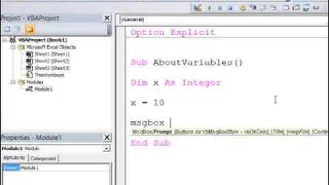 3. Introduction to Programming with VBA - Introduction To Variables