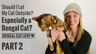 Should I Let My Cat Outside? Especially a Bengal? PART 2