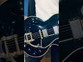 仲井戸麗市 GIBSON(CHABO'S BLUES)