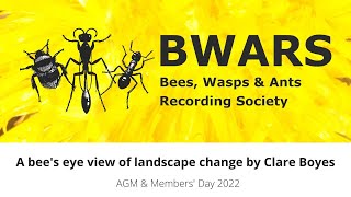 A bee&#39;s eye view of landscape change by Clare Boyes
