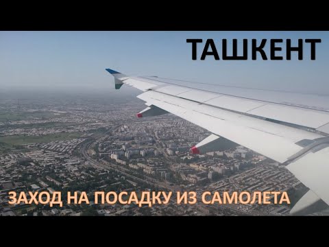 Video: Cómo Volar A Tashkent