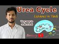 Urea Cycle in hindi || nursing