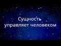 Сущность управляет человеком