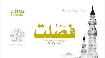 سورة فصلت (1-44) - للقارئ محمد ايوب من مسجد قباء