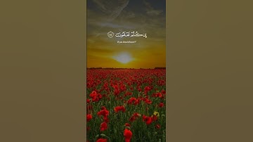 قران كريم ،،،،ياسر الدوسري ،،،،،اكتب شيئ تؤجر عليه ،،،راحه نفسيه