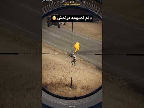 واقعا دلم نمیومد بزنمش وارزون