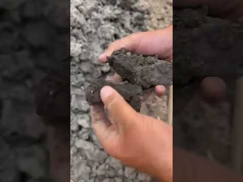 قلولك طبقات دفن تحت البيت حفرت كام متر لقيت المقبرة ولا شئ تاني
