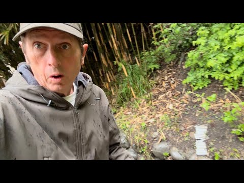 🇯🇵 Letting the Rain Do the Work in Our Backyard - Retiring in Japan