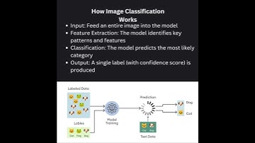 🚀 Image Classification Simplified! 🧠📸
