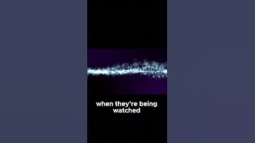 The double slit experiment and the simulation theory