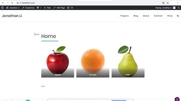 Do_Action | Wordpress Tutorial