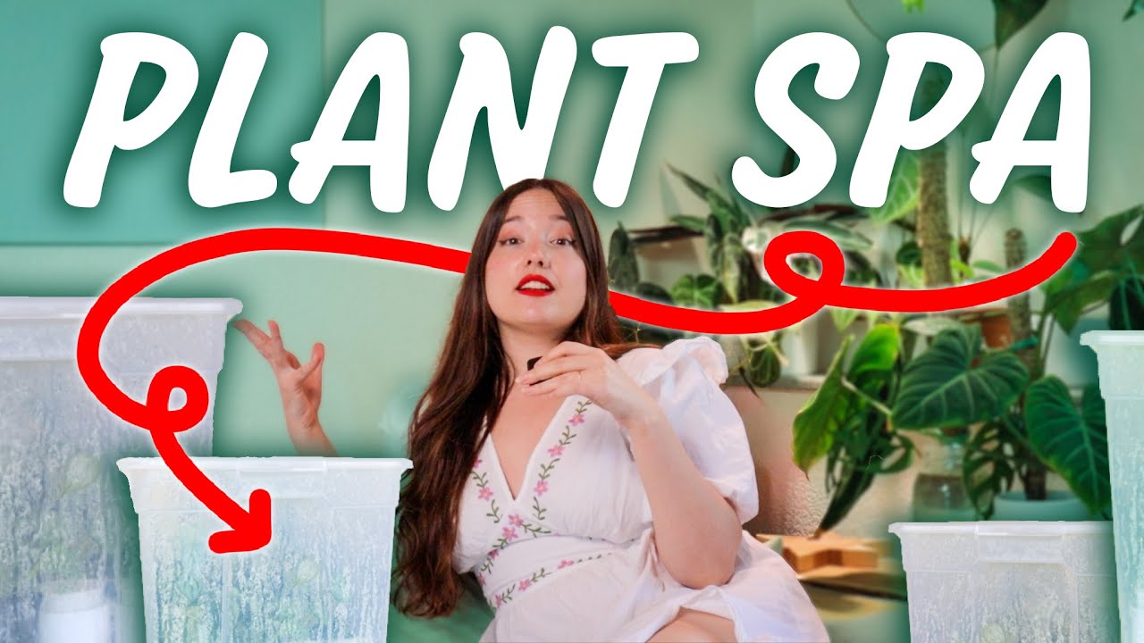 How to Increase HUMIDITY without a Humidifier YouTube