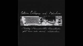 Catena Collapse / Sinaloa - A Trøndelag / Massachusetts Transatlantic Split (full split)