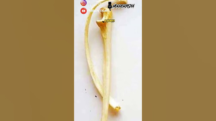 Hmm!?!? Tulang Wangi? Inilah Penjelasannya #Horrorpedia #shorts