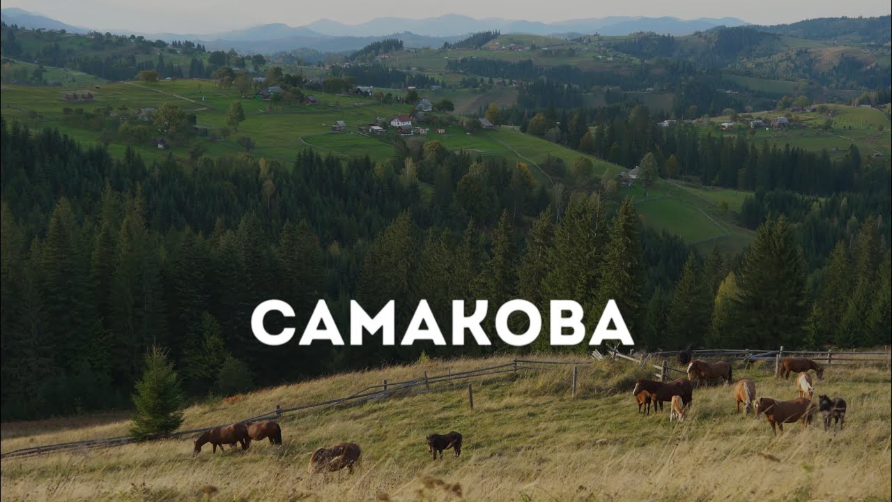 Колись там був хутір Максимець, тепер пусті хати…