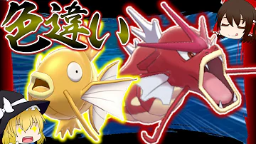 ポケモン三鳥vsサンチょ兎